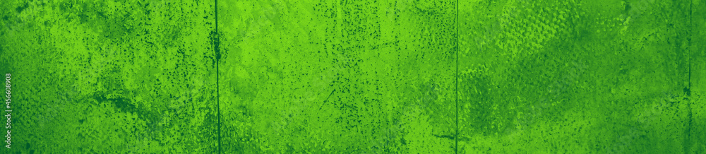 Fototapeta premium abstract green bright color background for design