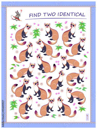 Logic puzzle game for children and adults. Find two identical ferrets. Memory exercises for seniors. Page for kids brain teaser book. Developing spatial thinking. IQ test. Play online. Vector image.