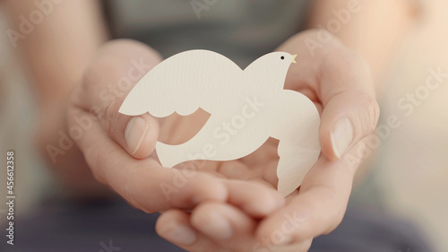 Adult hands holding white dove bird, international day of peace or world peace day concept, sustainable consumption, csr responsible business concept