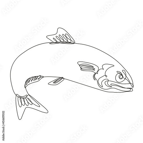 Continuous line drawing illustration of an angry Atlantic herring sardine fish jumping done in mono line or doodle style in black and white on isolated background. 