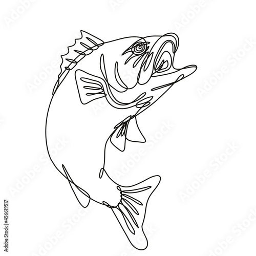 Continuous line drawing illustration of a largemouth bass jumping up done in mono line or doodle style in black and white on isolated background.  photo