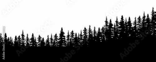 Forest silhouette. Nature landscape. Environment background. Flat abstract design. Vector illustration. Stock image.