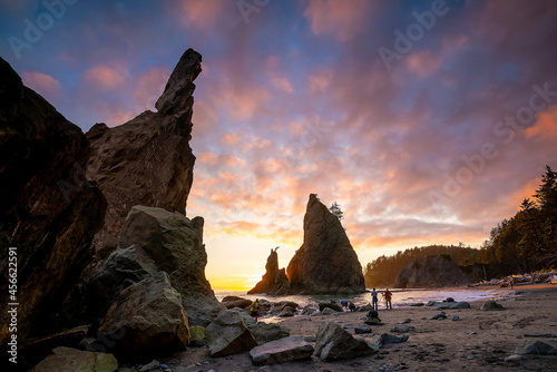 Olympic national park landscape in usa