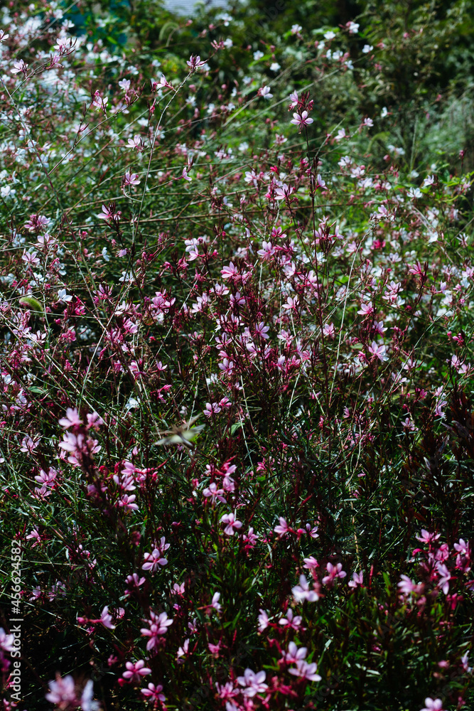 Outdoor Scenery in South Korea Outdoor Scenery in South Korea