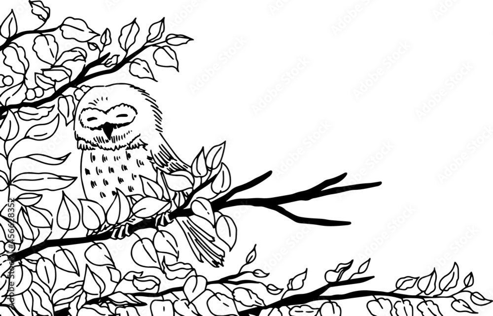木に止まるフクロウの線画イラスト