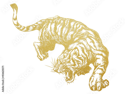 Asian style line drawing of golden tiger