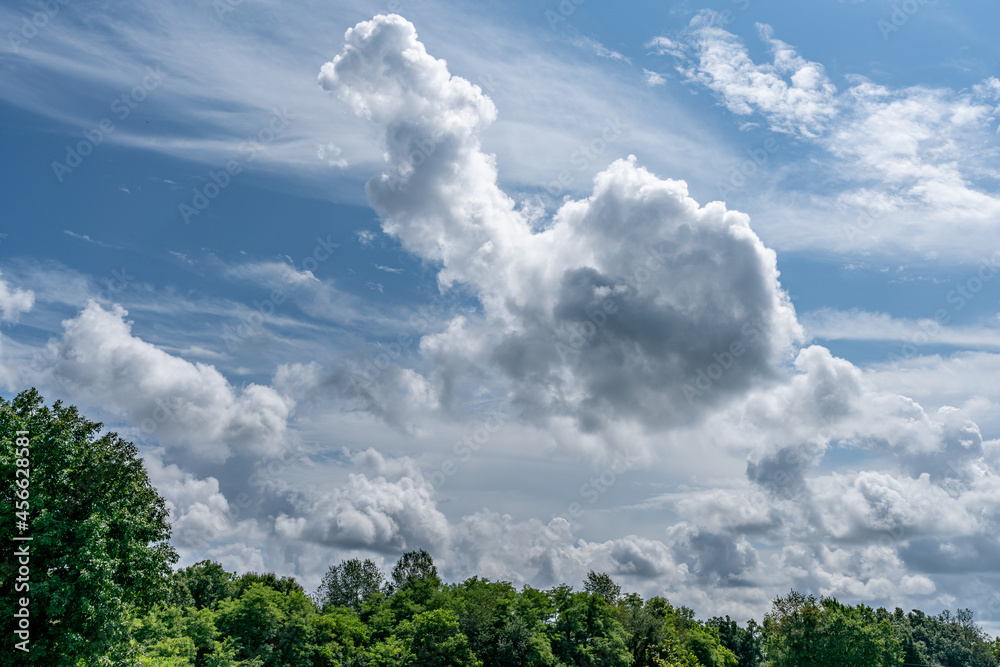 Obraz premium White cotton like puffy cumulus clouds against a blue sky with the suns rays shining.