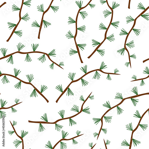 Seamless pattern branch of spruce, fir, pine. Hand drawing. Vector illustration. Winter background.