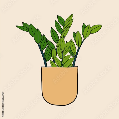 Simplicity zanzibar gem plant simplicity freehand drawing flat design.