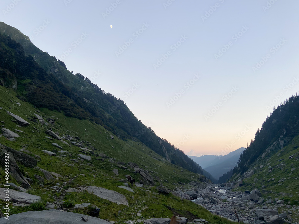 Obraz premium Beautiful landscape in evening time of mountain valley and horse grazing in district kangra, himachal pradesh, India