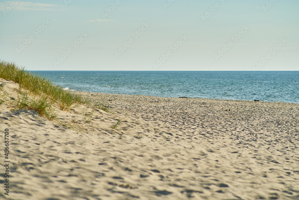 Sand dunes of the russian part Curonian Spit. Kaliningrad region, Russia Sand dunes of the russian part Curonian Spit. Kaliningrad region, Russia