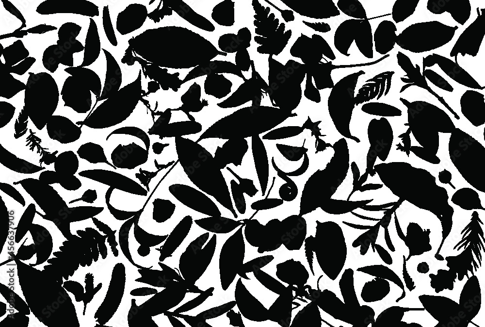 Fototapeta premium Leaves, seeds and flowers of the forest floor on a white background. Vector