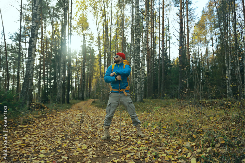 autumn camping in the forest, a male traveler is walking through the forest, yellow leaves landscape in October. autumn camping in the forest, a male traveler is walking through the forest, yellow leaves landscape in October.