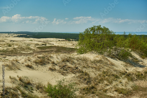 Sand dunes of the russian part Curonian Spit. Kaliningrad region  Russia