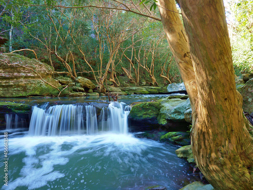 Soft creek waterfall with tree