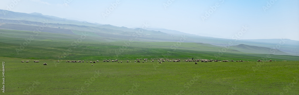 Green nature of Georgia travel ecotourism for health