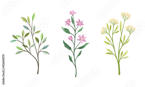 Twig and Foliage with Stem, Leaves and Blooming Flower Vector Set