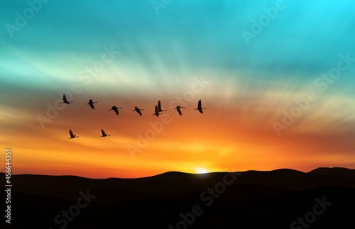 Fototapeta Naklejka Na Ścianę i Meble -  Amazing sky on sunset or sunrise with flying birds