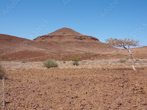 Namibian Desert Scene