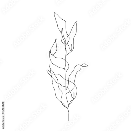 Botanical Line Art Drawing of Simple Leaves Branch. Minimal Abstract Floral Modern Art Illustration. Minimal Botanical Flower One Line Drawing. Vector EPS 10 © Наталья Дьячкова