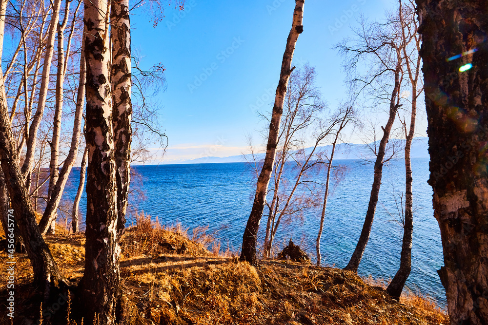 Beautiful natural view of the landscape with the shore with yellow grass, lake, and blue sky with white clouds on a sunny autumn day