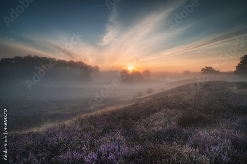 sunrise over the field