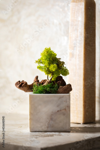 Miniature tree in marble planter