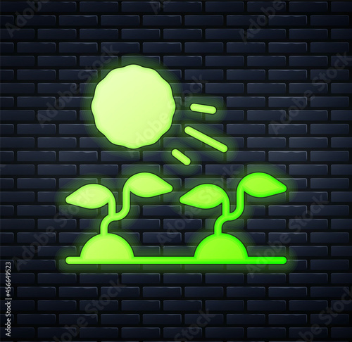 Glowing neon Plant sprouts grow in the sun icon isolated on brick wall background. Seedling concept. Vector