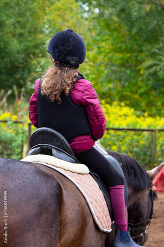 Girl with a brown horse. Hippotherapy for young children is the prevention of spinal diseases, as well as therapy after many serious diseases
