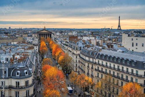 Paris France, high angle view of Eiffel Tower and city skyline with autumn foliage season