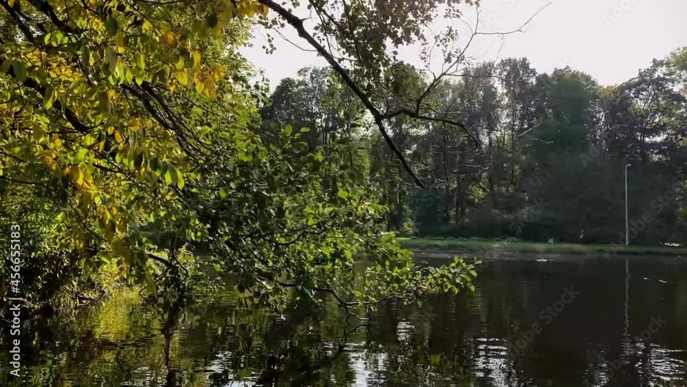 early autumn in city park. trees with green and yellow leaves by the pond. Beautiful sunlight with sun flares early autumn in city park. trees with green and yellow leaves by the pond. Beautiful sunlight with sun flares