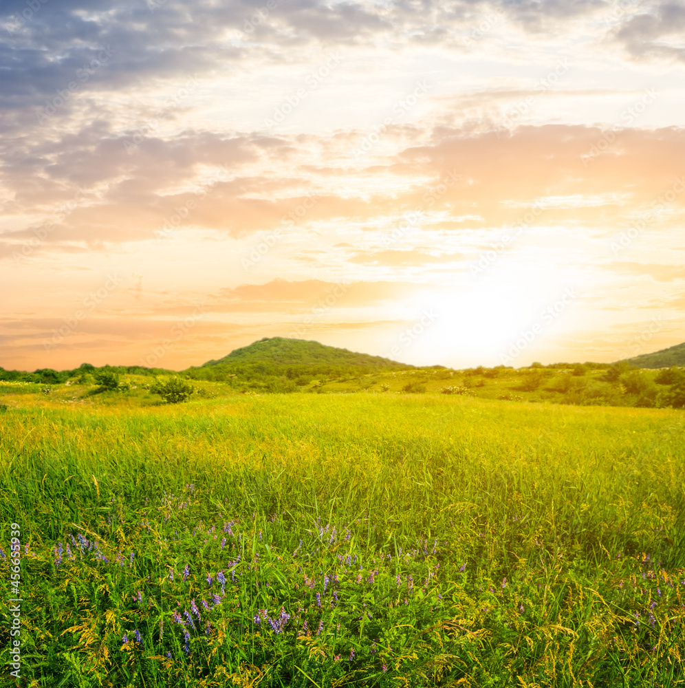 green prairie with hills at the sunset