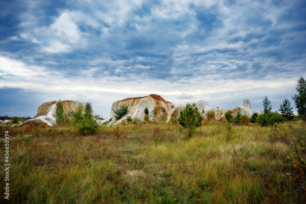 Obraz premium landscape with horses