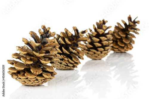Group of four whole beautiful pine cone in diagonal isolated on white background
