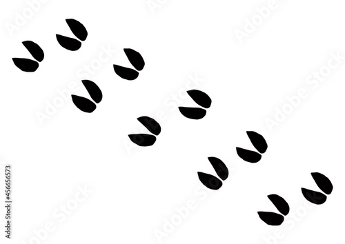Sheep foot print. Vector drawing