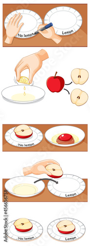 Fotografi Apple oxidation science experiment