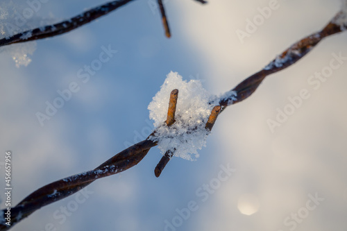 barbed wire in the snowy meadows photo