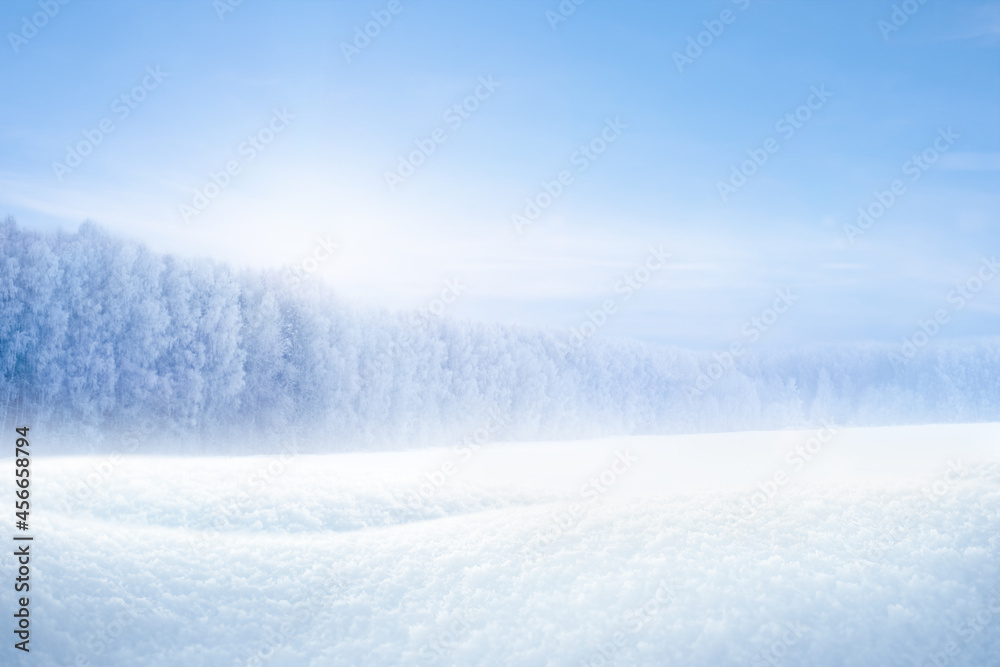 snowdrifts and winter forest on a sunny frosty day snowdrifts and winter forest on a sunny frosty day