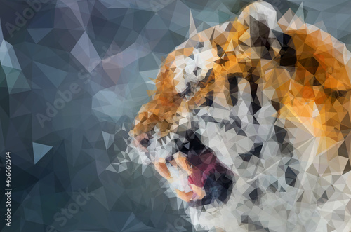 Low poly illustration of a roaring tiger. The grin of a predator. Calendar design for 2022. Year of the tiger according to the eastern calendar. New Year. Sketch for the website, social networks.