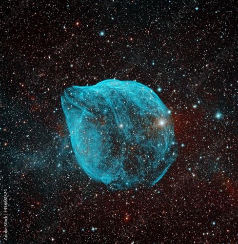Dolphin Head Nebula - SH2-308