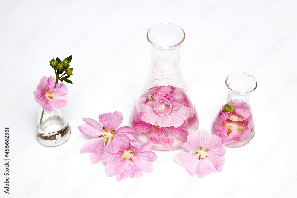 Bottle flask extract of natural cosmetics flower petals. Natural organic product from plants and flowers, herbal tube cosmetics for skin care. Nature beauty science medicine laboratory test Bottle flask extract of natural cosmetics flower petals. Natural organic product from plants and flowers, herbal tube cosmetics for skin care. Nature beauty science medicine laboratory test