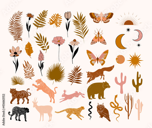 Collection of Modern Arts abstract plants, animals, flowers and insect.  Aesthetic Modern Art, Boho Decor, Minimalist Art. Editable Vector illusration.
