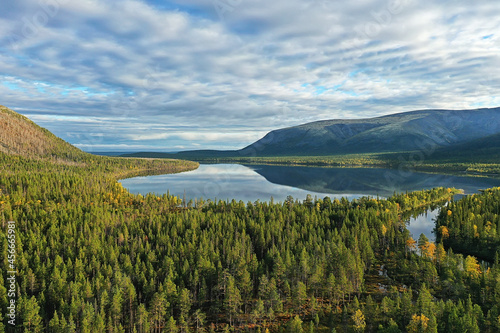 river autumn view from drone forest  landscape panorama aerial view