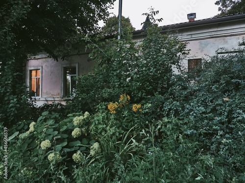house with flowers