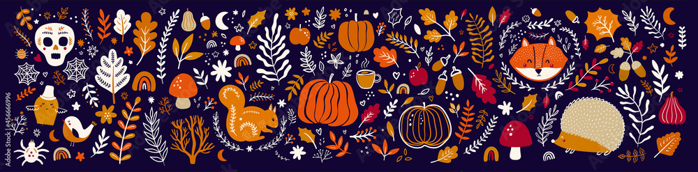 Obraz Autumn decorative collection with pumpkins, leaves, animals and halloween symbols
