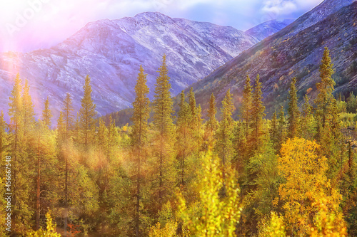 autumn forest mountains panorama, landscape trees, nature yellow season