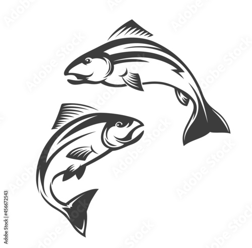 Salmon fish vector icon of leaping coho, chinook, Atlantic and pink salmon. Isolated sea and ocean seafood animals monochrome symbol of seafood restaurant, fishing sport or fish market design