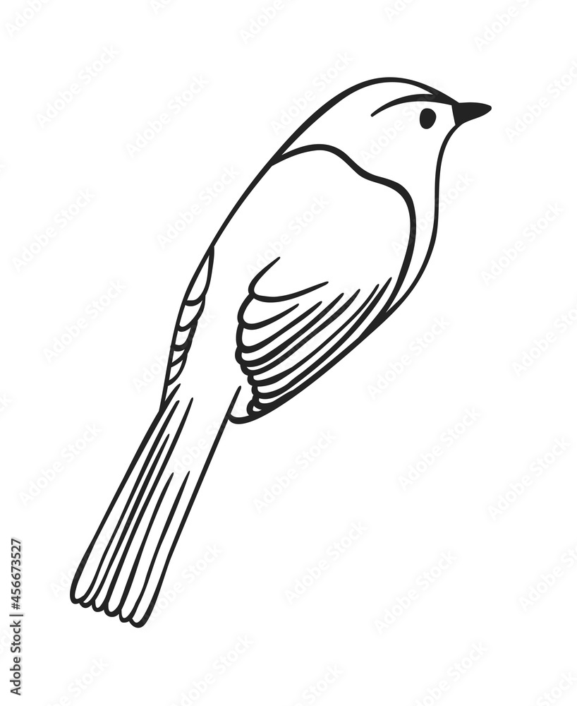 Naklejka premium Hand drawn illustration bird. Creative ink art work. Actual vector drawing