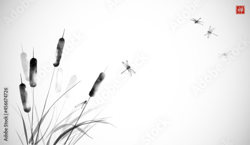 Cattail, reed plant and drafonflies hand drawn with ink on white background. Traditional oriental ink painting sumi-e, u-sin, go-hua. Translation of hieroglyph - zen