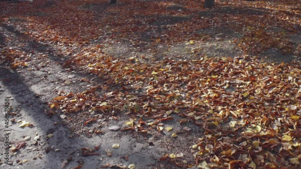 Wind sweeping dry fallen leaves on ground in park, soft selective focus. Wind sweeping dry fallen leaves on ground in park, soft selective focus.